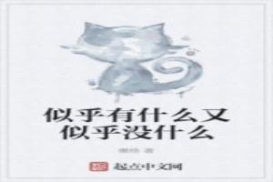 似乎有什么又似乎没什么